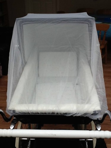 Insect net for silver - net,
